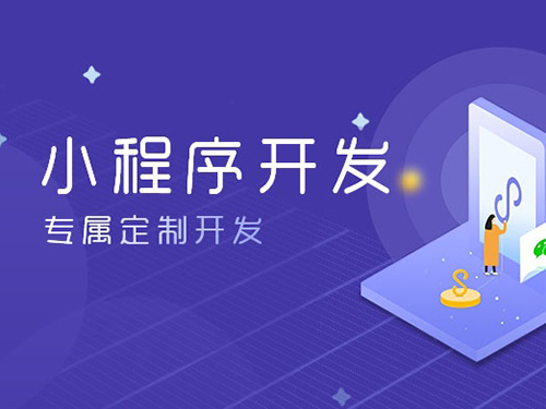 小程序開發(fā),上海專業(yè)小程序開發(fā)公司