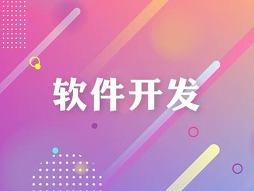 軟件開發(fā),上海軟件定制